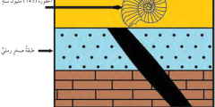 حل أسئلة و شرح درس العمر النسبي للصخور والعمر المطلق – جاوبني