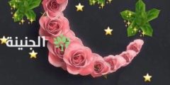 احلى صور شهر رمضان 2023 صور رمضان كريم – جاوبني