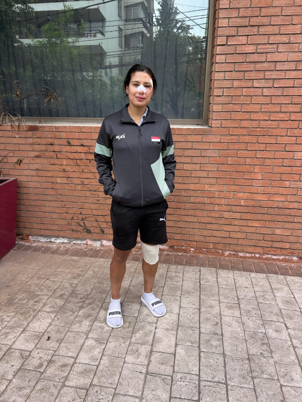 لا يوجد تفسير.