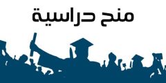 منح دراسية ممولة بالكامل في البرازيل