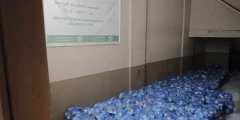 الإغاثة الزراعية توزع 261 طردًا من الخضار والفواكه في غزة