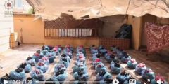 «حكايات وطن» ينفذ مبادرة لتوزيع سلال خضار على الأسر في غزة