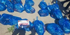 فريق أيادي الخير يواصل دعم أهالي غزة بتوزيع 80 سلة خضار