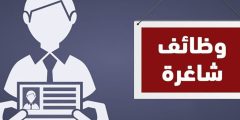وظائف شاغرة لخريجي كلية التربية مع جمعية تطوير بيت لاهيا