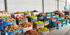 جمعية ساعد تعتزم توزيع 1000 طرد غذائي في غزة